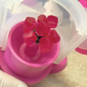 Super Ring II (CreamPress High Speed Ceramic Sample Included)