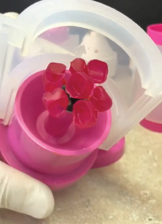 Super Ring II (CreamPress High Speed Ceramic Sample Included)