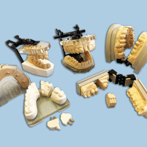 Model & Tray Systems